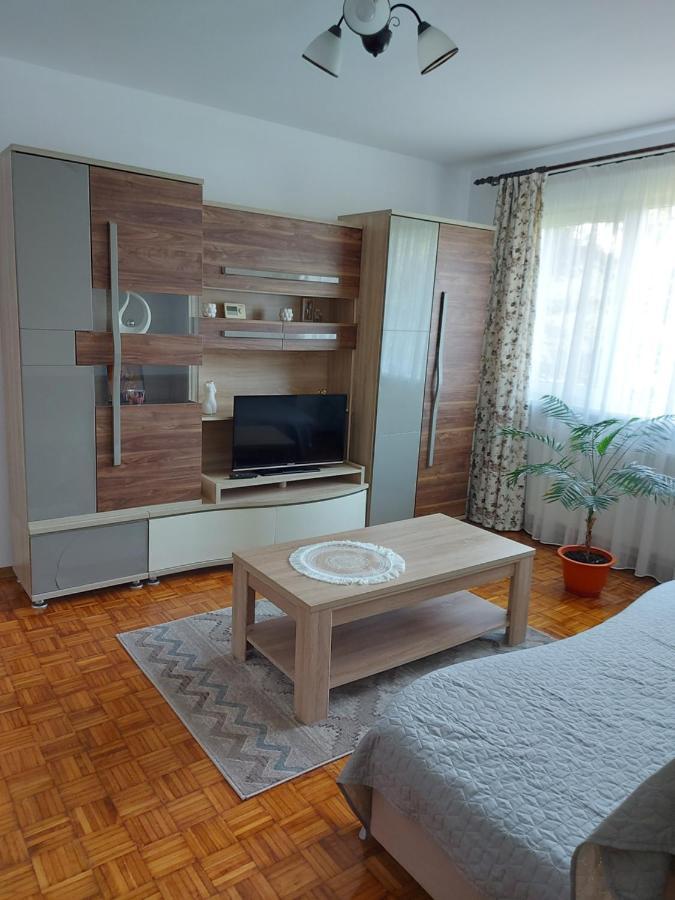Studio Bulevardul Victoriei Brașov Exterior foto